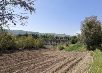 Foto 11 - Casa indipendente Via San Michele, Spinetoli - foto 11