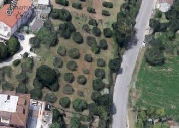 Foto 3 - Terreno edificabile Colle Sant'Angelo, Monteprandone - foto 3