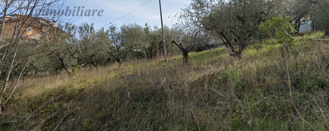 Foto 4 - Terreno edificabile Via Colle Sant'Angelo, Monteprandone - foto 3