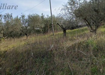 Foto 4 - Terreno edificabile Via Colle Sant'Angelo, Monteprandone - foto 3