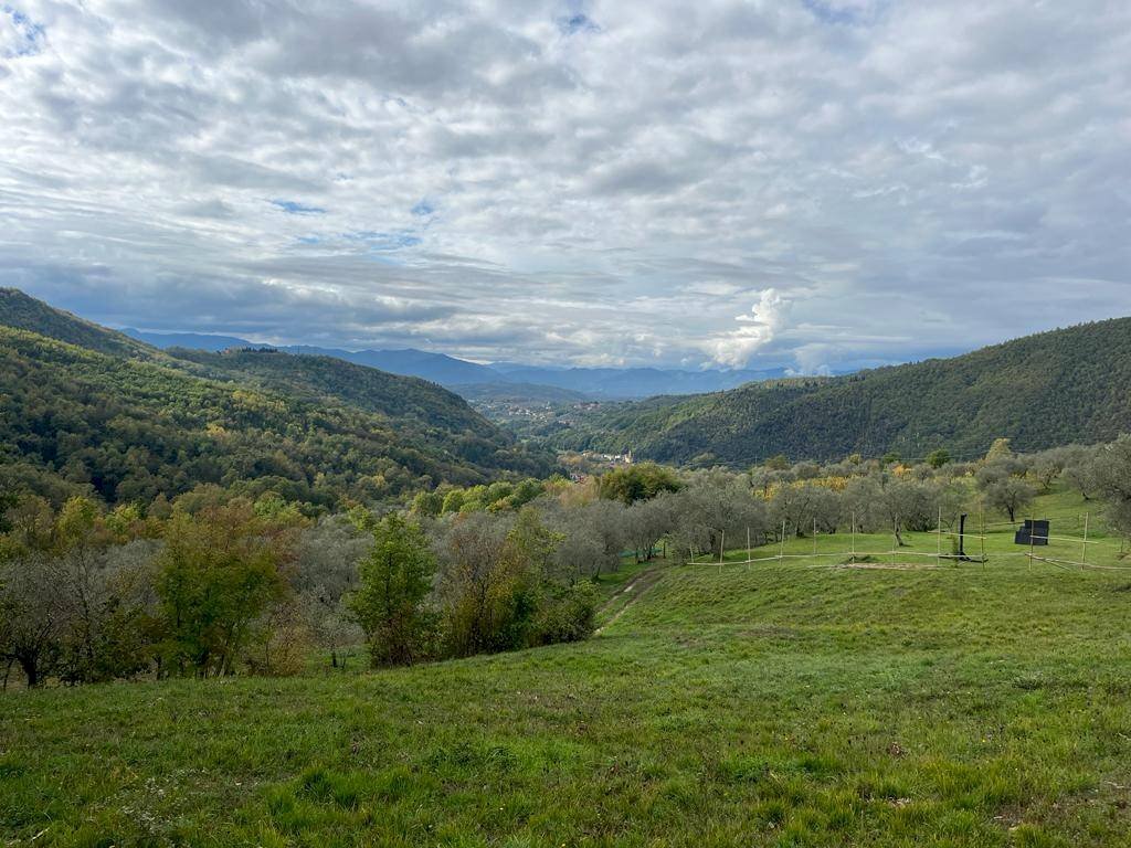 Foto 1 - Terreno edificabile Via Casala, Fivizzano - foto 1