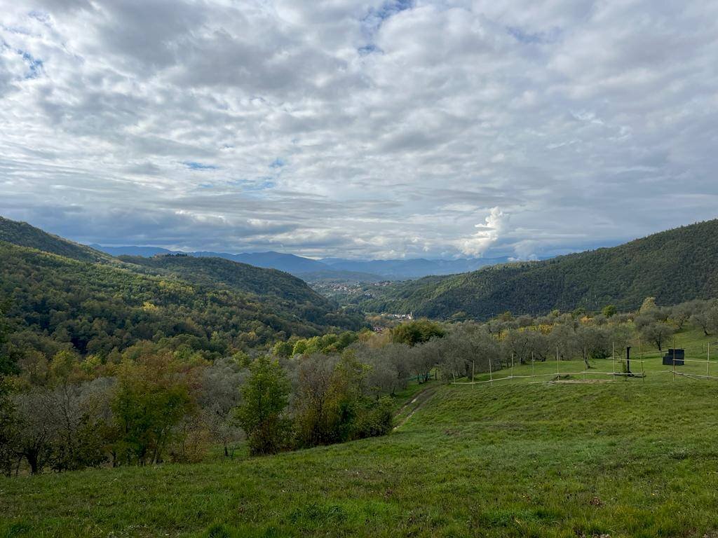 Foto 3 - Terreno edificabile Via Casala, Fivizzano - foto 3