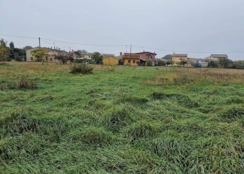 Foto 6 - Terreno edificabile Via Roma, Villorba - foto 6