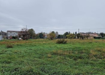 Foto 11 - Terreno edificabile Via Roma, Villorba - foto 11