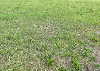 Foto 4 - Terreno edificabile Via Camillo Benso Conte di Cavour, San Biagio di Callalta - foto 4