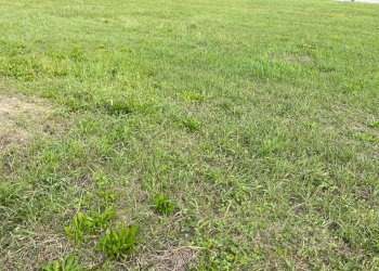 Foto 5 - Terreno edificabile Via Camillo Benso Conte di Cavour, San Biagio di Callalta - foto 5