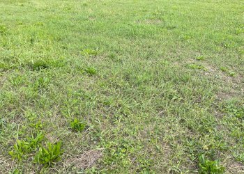 Foto 6 - Terreno edificabile Via Camillo Benso Conte di Cavour, San Biagio di Callalta - foto 6