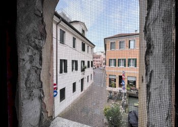 Foto 29 - Stable - Palace via dei lombardi, Treviso - photo 29