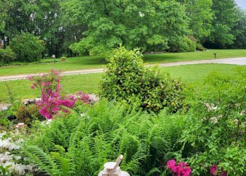 Foto 36 - Villa Via Brigata Mantova
 
11, Moriago della Battaglia - foto 36