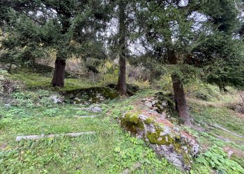 Foto 40 - Casa indipendente STRADA STATALE 50, Primiero San Martino di Castrozza - foto 40