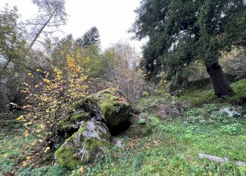 Foto 42 - Casa indipendente STRADA STATALE 50, Primiero San Martino di Castrozza - foto 42