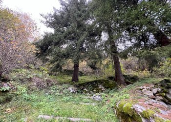 Foto 44 - Casa indipendente STRADA STATALE 50, Primiero San Martino di Castrozza - foto 44