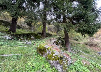 Foto 45 - Casa indipendente STRADA STATALE 50, Primiero San Martino di Castrozza - foto 45