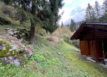 Foto 46 - Casa indipendente STRADA STATALE 50, Primiero San Martino di Castrozza - foto 46