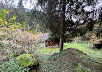 Foto 47 - Casa indipendente STRADA STATALE 50, Primiero San Martino di Castrozza - foto 47