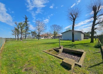 Foto 2 - Casa semi indipendente Via fior di loto, Casale sul Sile - foto 2