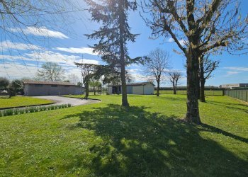 Foto 24 - Casa semi indipendente Via fior di loto, Casale sul Sile - foto 24