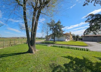 Foto 27 - Casa semi indipendente Via fior di loto, Casale sul Sile - foto 27