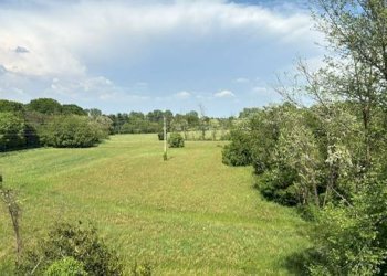 Foto 7 - Casa semi indipendente Legnano - foto 7