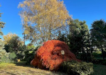 Foto 26 - Trilocale Via Zara
 
1, Fagnano Olona - foto 25