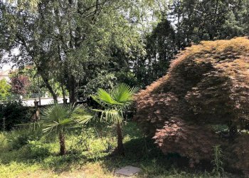 Foto 40 - Trilocale Via Zara
 
1, Fagnano Olona - foto 39