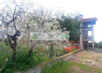 Foto 29 - Casa indipendente Vasto Nord, Vasto - foto 29