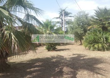 Foto 12 - Casa semi indipendente Vasto Nord, Vasto - foto 12