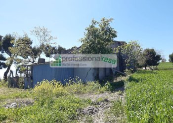 Foto 4 - Casa indipendente Montenero di Bisaccia - foto 4