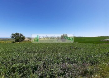 Foto 7 - Casa indipendente Montenero di Bisaccia - foto 7