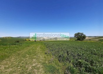 Foto 8 - Casa indipendente Montenero di Bisaccia - foto 8