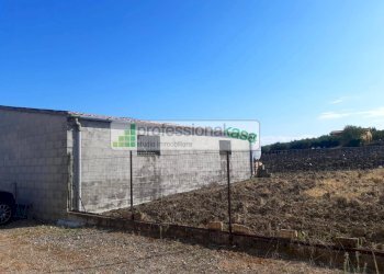 Foto 38 - Casa indipendente MONTENERO DI BISACCIA, Montenero di Bisaccia - foto 38