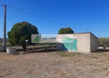 Foto 39 - Casa indipendente MONTENERO DI BISACCIA, Montenero di Bisaccia - foto 39