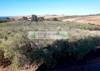 Foto 42 - Casa indipendente MONTENERO DI BISACCIA, Montenero di Bisaccia - foto 42