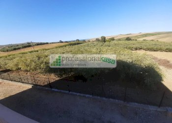 Foto 46 - Casa indipendente MONTENERO DI BISACCIA, Montenero di Bisaccia - foto 46