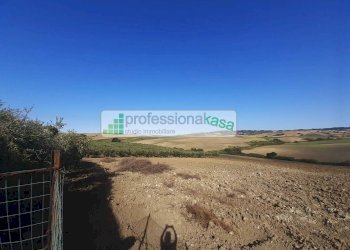 Foto 51 - Casa indipendente MONTENERO DI BISACCIA, Montenero di Bisaccia - foto 51