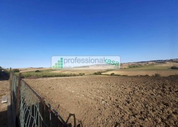 Foto 52 - Casa indipendente MONTENERO DI BISACCIA, Montenero di Bisaccia - foto 52