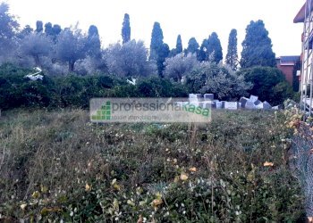 Foto 15 - Locale Commerciale Centrale Commerciale, Vasto - foto 15