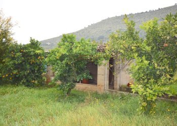 Foto 2 - Terreno agricolo Via Appia lato roma, Gaeta - foto 2