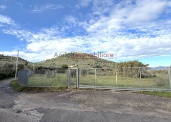 Foto 2 - Terreno agricolo Via Monticelle, Itri - foto 2