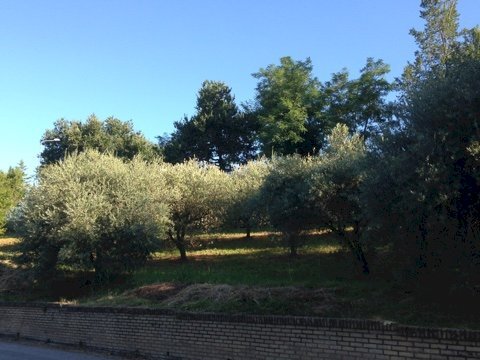 Foto 1 - Terreno edificabile madonna del popolo, Montegiorgio - foto 1