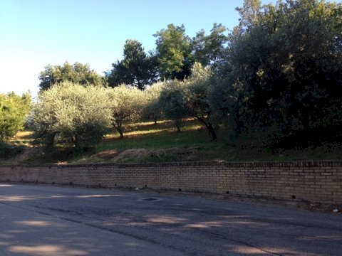 Foto 3 - Terreno edificabile madonna del popolo, Montegiorgio - foto 3