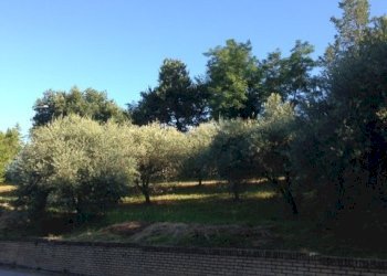 Foto 1 - Terreno edificabile madonna del popolo, Montegiorgio - foto 1