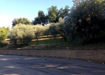 Foto 3 - Terreno edificabile madonna del popolo, Montegiorgio - foto 3