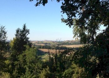 Foto 5 - Terreno edificabile madonna del popolo, Montegiorgio - foto 5