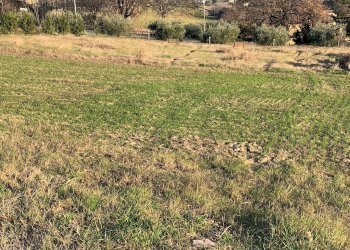 Foto 3 - Terreno edificabile Magliano di Tenna - foto 3