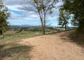 Foto 34 - Independent house contrada gaglianello
 
1, Montegiorgio - photo 34