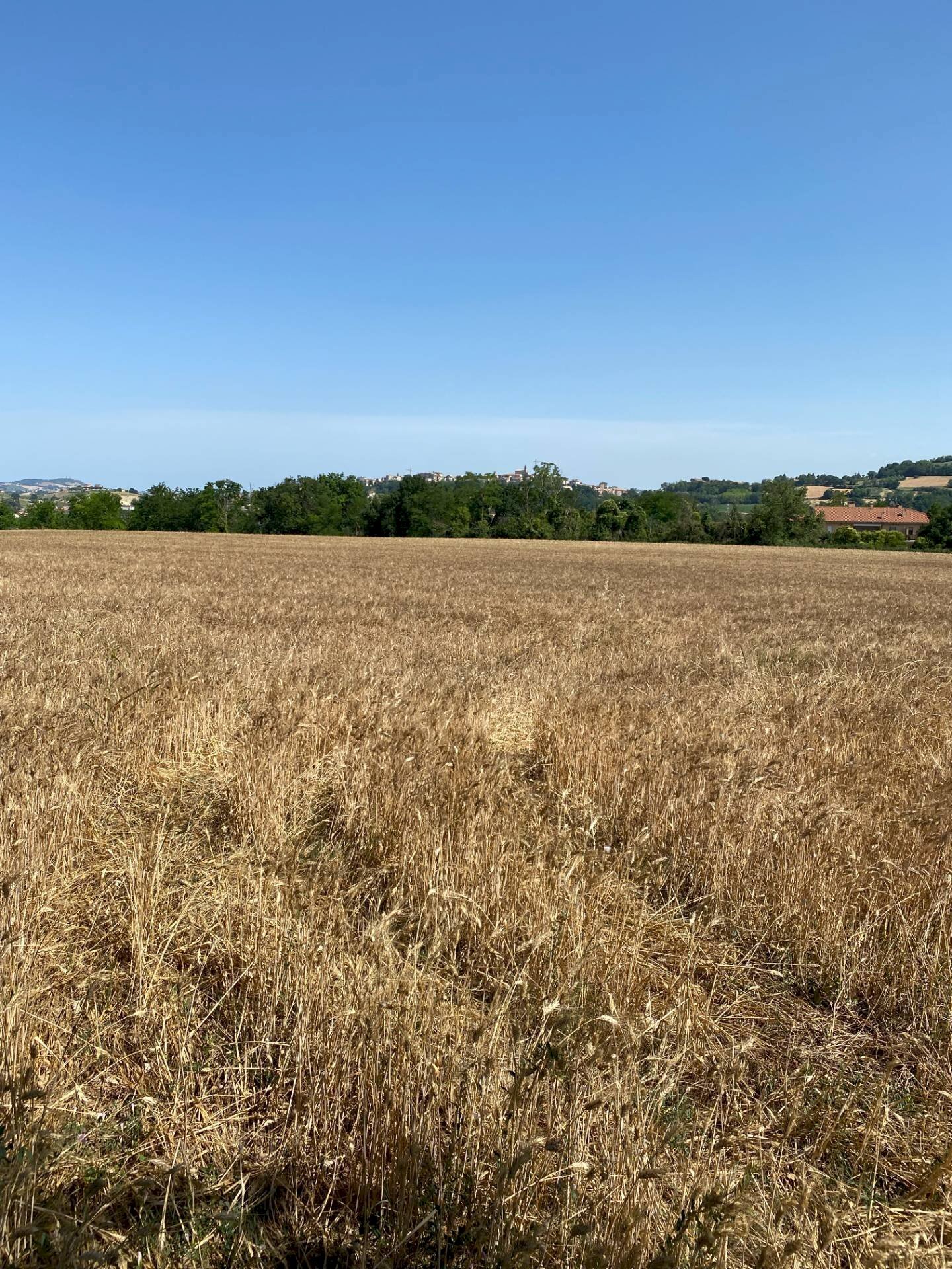 Foto 2 - Terreno edificabile via san filippo, Magliano di Tenna - foto 2