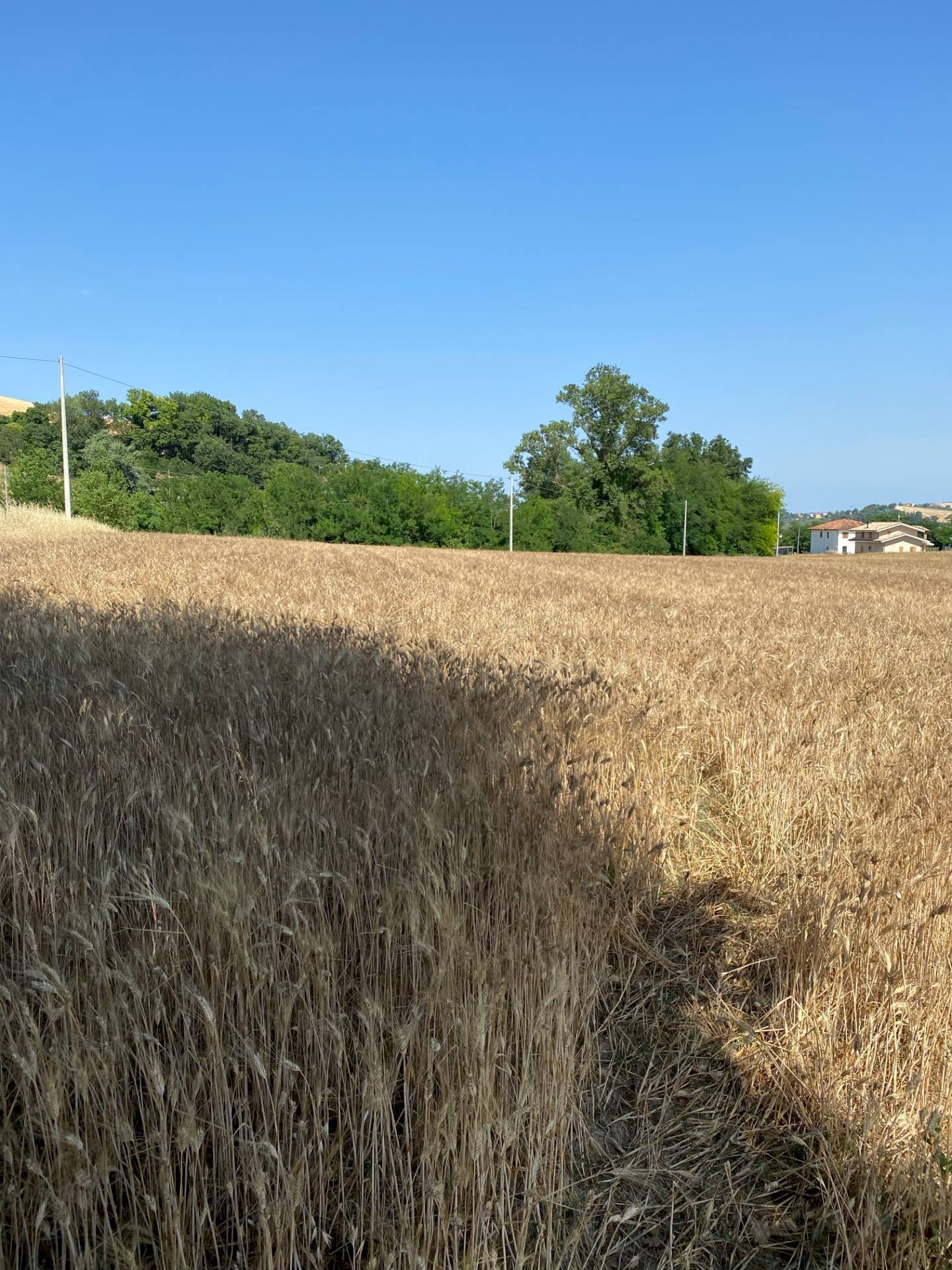 Foto 3 - Terreno edificabile via san filippo, Magliano di Tenna - foto 3