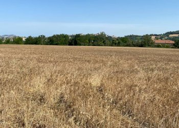 Foto 2 - Terreno edificabile via san filippo, Magliano di Tenna - foto 2