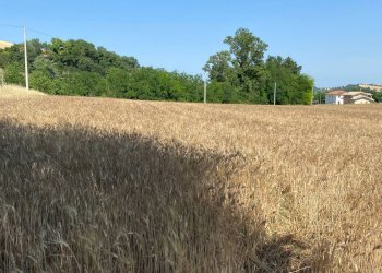 Foto 3 - Terreno edificabile via san filippo, Magliano di Tenna - foto 3